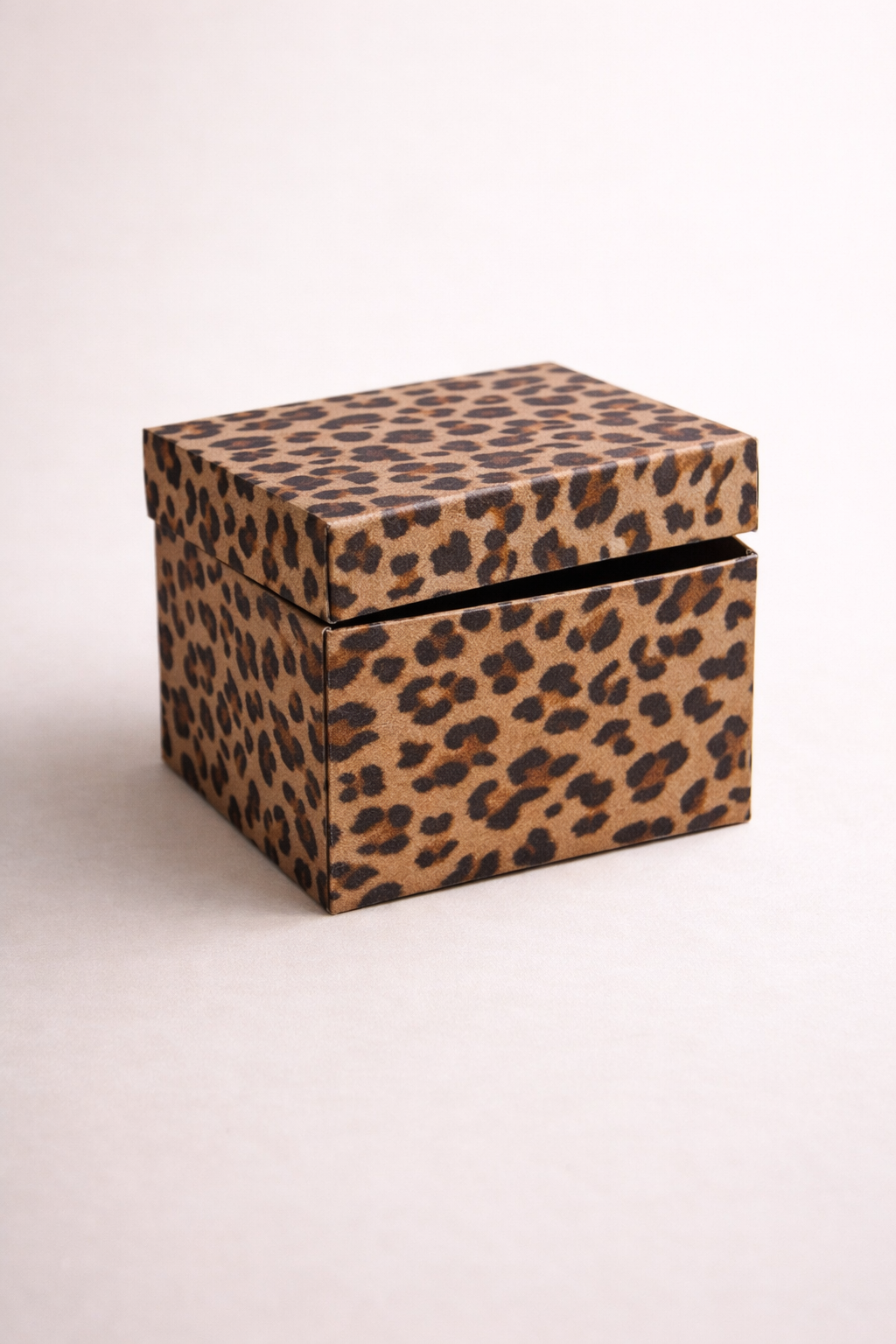 Leo Muster Überraschungsbox