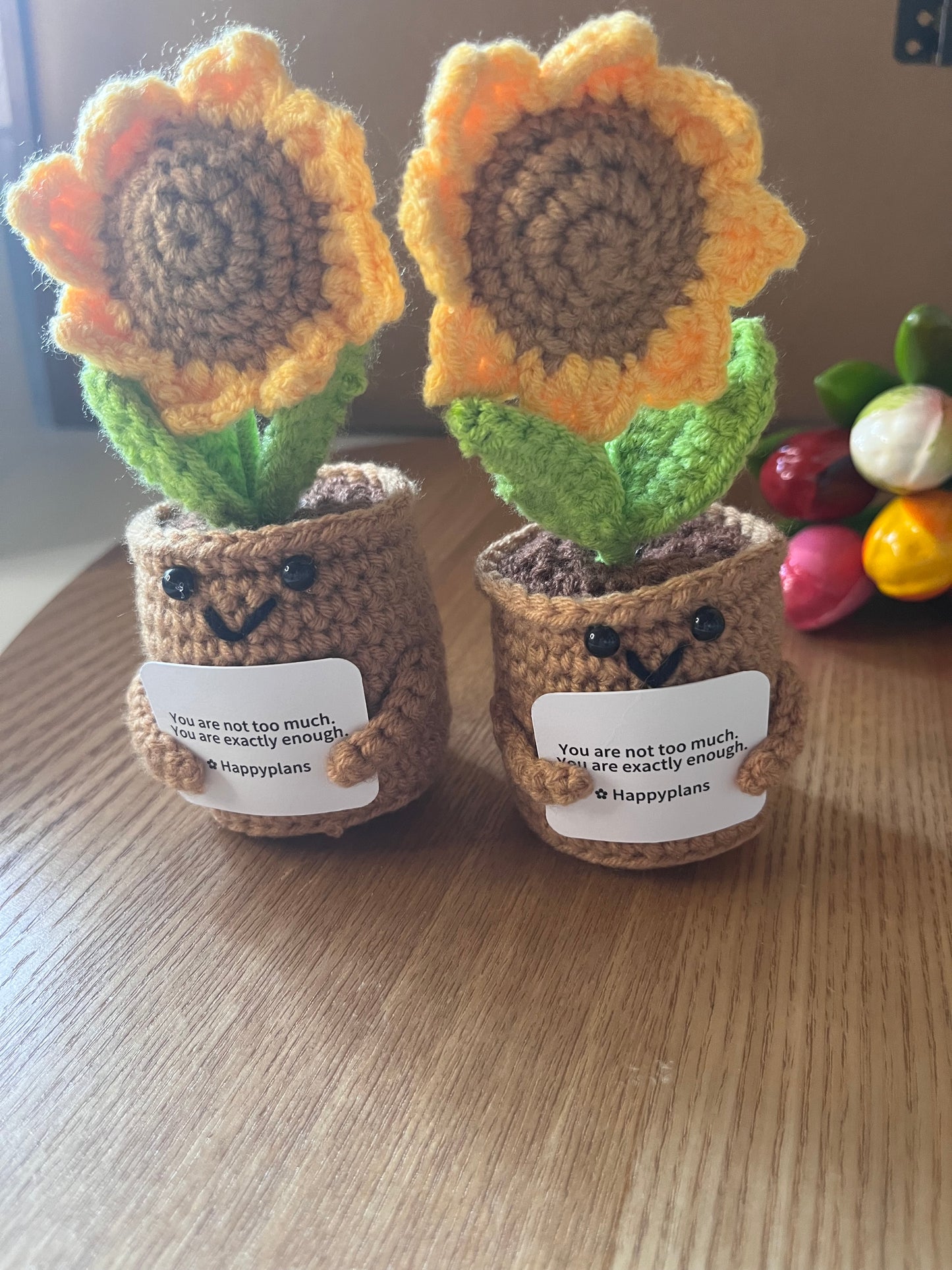 Sunny - support Sonnenblume 🌻